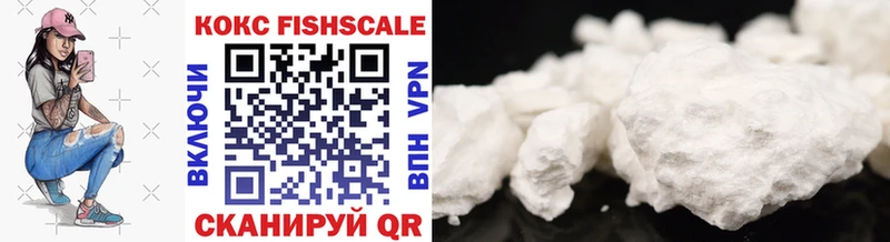 Купить закладки  Балашиха  Cocaine Fish Scale 