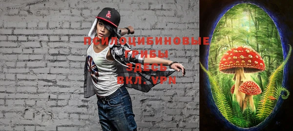 хмурый Сосновоборск